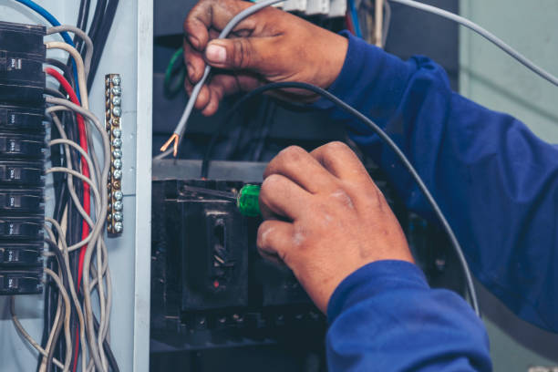 Best Local Electrician Companies  in Ravena, NY